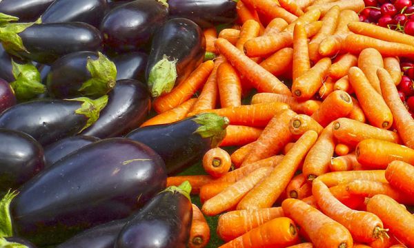 施用化學(xué)肥料需注意哪些問(wèn)題